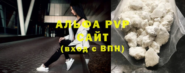 PSILOCYBIN Вяземский