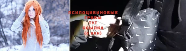 PSILOCYBIN Вяземский