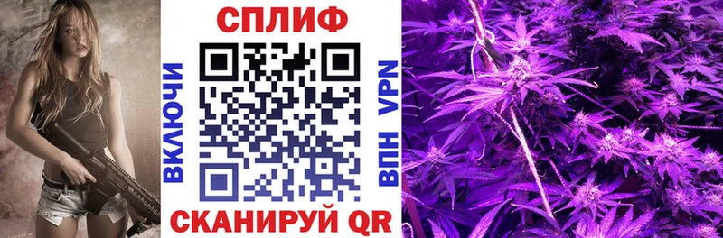 OMG онион Гремячинск МАРИХУАНА LSD WEED наркошоп